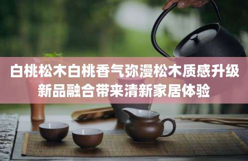 白桃松木白桃香气弥漫松木质感升级新品融合带来清新家居体验