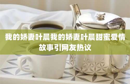 我的娇妻叶晨我的娇妻叶晨甜蜜爱情故事引网友热议