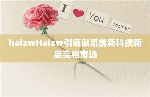 haizwHaizw引领潮流创新科技新品亮相市场