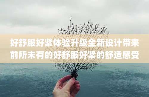 好舒服好紧体验升级全新设计带来前所未有的好舒服好紧的舒适感受