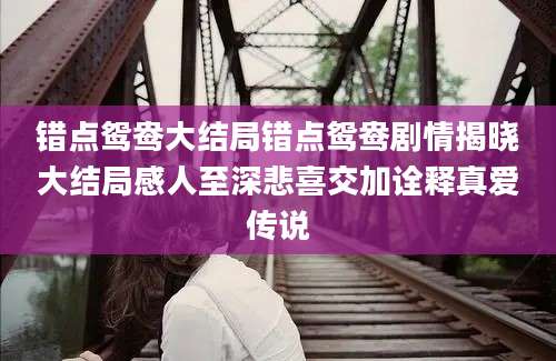 错点鸳鸯大结局错点鸳鸯剧情揭晓大结局感人至深悲喜交加诠释真爱传说