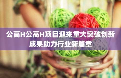 公高H公高H项目迎来重大突破创新成果助力行业新篇章
