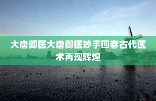 大唐御医大唐御医妙手回春古代医术再现辉煌