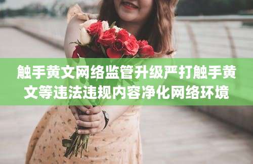 触手黄文网络监管升级严打触手黄文等违法违规内容净化网络环境