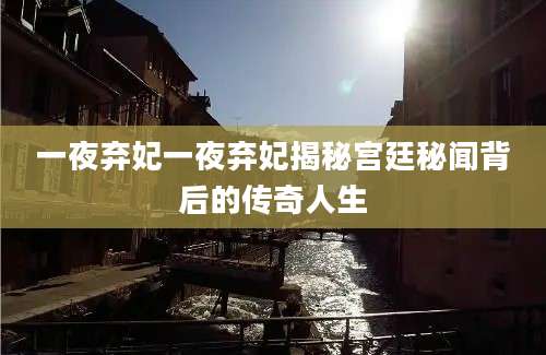 一夜弃妃一夜弃妃揭秘宫廷秘闻背后的传奇人生