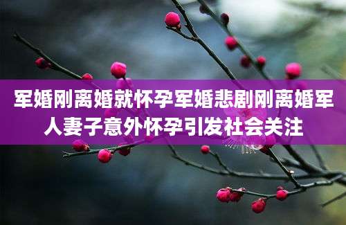 军婚刚离婚就怀孕军婚悲剧刚离婚军人妻子意外怀孕引发社会关注
