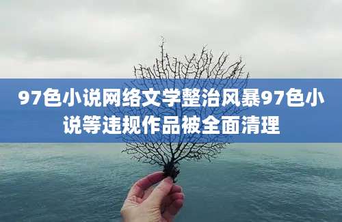 97色小说网络文学整治风暴97色小说等违规作品被全面清理