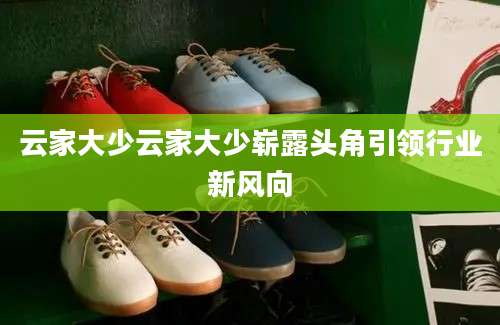 云家大少云家大少崭露头角引领行业新风向