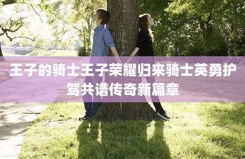 王子的骑士王子荣耀归来骑士英勇护驾共谱传奇新篇章