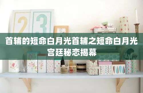 首辅的短命白月光首辅之短命白月光宫廷秘恋揭幕