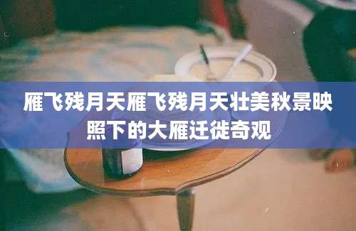 雁飞残月天雁飞残月天壮美秋景映照下的大雁迁徙奇观