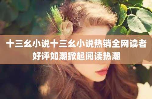 十三幺小说十三幺小说热销全网读者好评如潮掀起阅读热潮