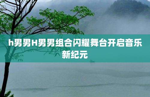 h男男H男男组合闪耀舞台开启音乐新纪元