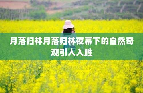 月落归林月落归林夜幕下的自然奇观引人入胜