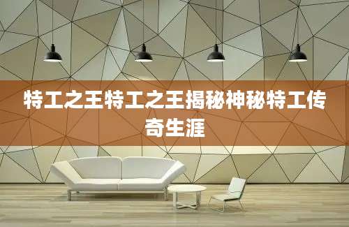 特工之王特工之王揭秘神秘特工传奇生涯