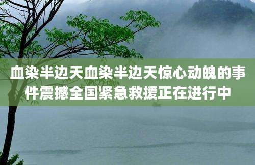 血染半边天血染半边天惊心动魄的事件震撼全国紧急救援正在进行中