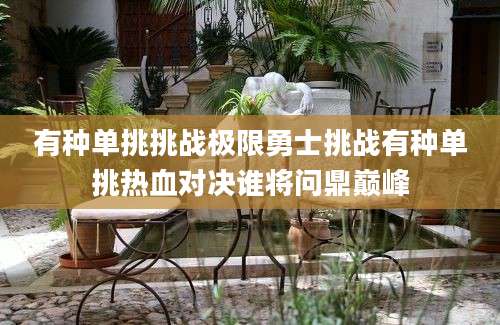 有种单挑挑战极限勇士挑战有种单挑热血对决谁将问鼎巅峰