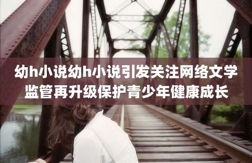 幼h小说幼h小说引发关注网络文学监管再升级保护青少年健康成长