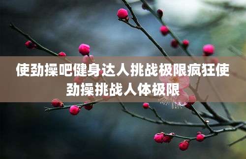 使劲操吧健身达人挑战极限疯狂使劲操挑战人体极限