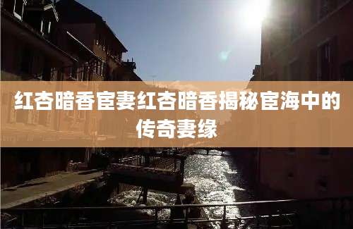红杏暗香宦妻红杏暗香揭秘宦海中的传奇妻缘