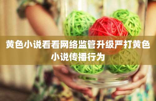 黄色小说看看网络监管升级严打黄色小说传播行为