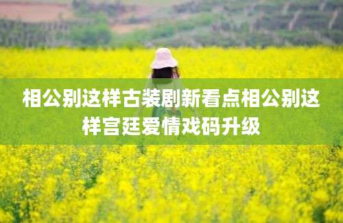 相公别这样古装剧新看点相公别这样宫廷爱情戏码升级