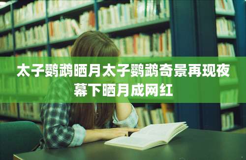 太子鹦鹉晒月太子鹦鹉奇景再现夜幕下晒月成网红