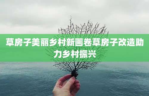 草房子美丽乡村新画卷草房子改造助力乡村振兴