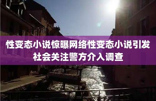 性变态小说惊曝网络性变态小说引发社会关注警方介入调查