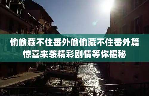偷偷藏不住番外偷偷藏不住番外篇惊喜来袭精彩剧情等你揭秘