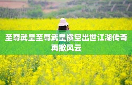 至尊武皇至尊武皇横空出世江湖传奇再掀风云