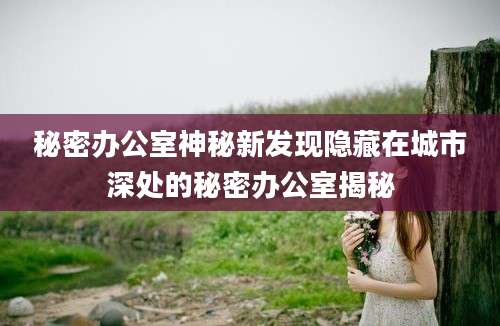 秘密办公室神秘新发现隐藏在城市深处的秘密办公室揭秘