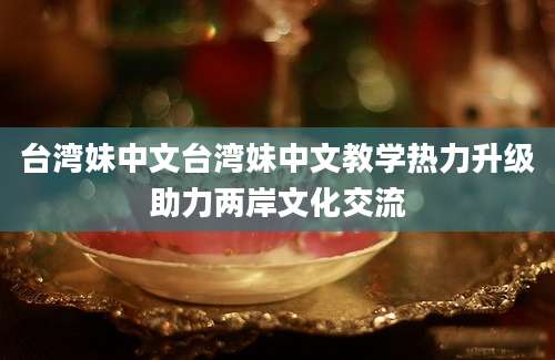 台湾妹中文台湾妹中文教学热力升级助力两岸文化交流