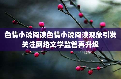 色情小说阅读色情小说阅读现象引发关注网络文学监管再升级
