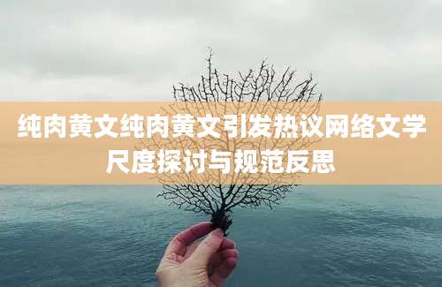 纯肉黄文纯肉黄文引发热议网络文学尺度探讨与规范反思