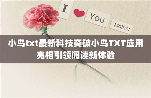 小鸟txt最新科技突破小鸟TXT应用亮相引领阅读新体验
