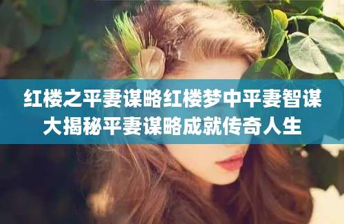 红楼之平妻谋略红楼梦中平妻智谋大揭秘平妻谋略成就传奇人生