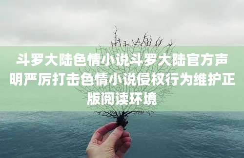 斗罗大陆色情小说斗罗大陆官方声明严厉打击色情小说侵权行为维护正版阅读环境