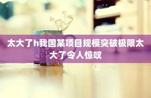 太大了h我国某项目规模突破极限太大了令人惊叹