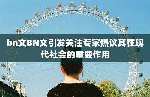 bn文BN文引发关注专家热议其在现代社会的重要作用