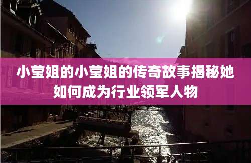 小莹姐的小莹姐的传奇故事揭秘她如何成为行业领军人物