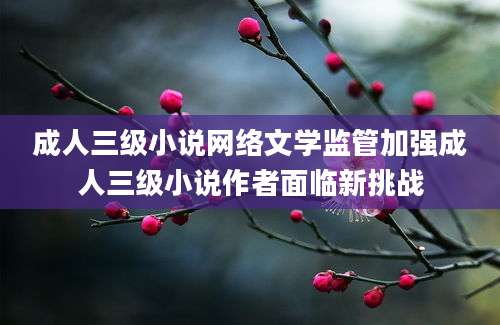 成人三级小说网络文学监管加强成人三级小说作者面临新挑战
