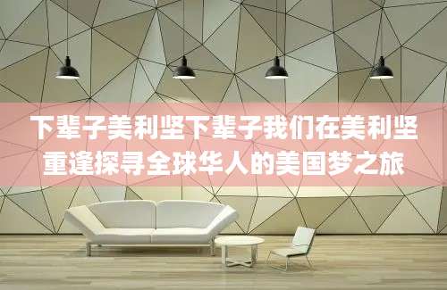 下辈子美利坚下辈子我们在美利坚重逢探寻全球华人的美国梦之旅