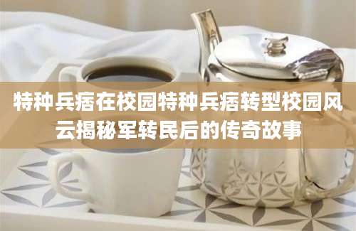 特种兵痞在校园特种兵痞转型校园风云揭秘军转民后的传奇故事