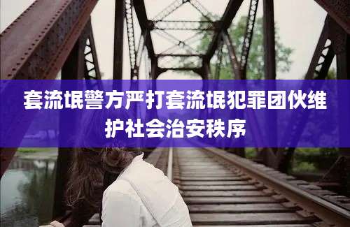 套流氓警方严打套流氓犯罪团伙维护社会治安秩序