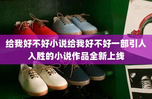 给我好不好小说给我好不好一部引人入胜的小说作品全新上线