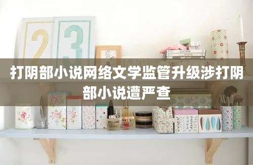 打阴部小说网络文学监管升级涉打阴部小说遭严查