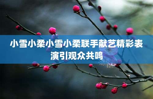 小雪小柔小雪小柔联手献艺精彩表演引观众共鸣