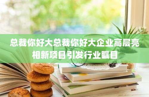 总裁你好大总裁你好大企业高层亮相新项目引发行业瞩目