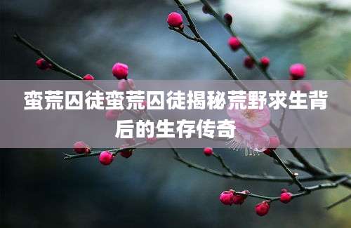 蛮荒囚徒蛮荒囚徒揭秘荒野求生背后的生存传奇